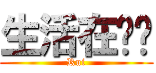 生活在别处 (Rui)