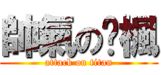 帥氣の煞楓 (attack on titan)