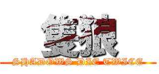   隻狼   (SHADOWS DIE TWICE)