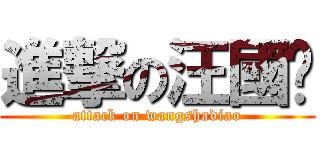 進撃の汪國鑫 (attack on wangshadiao)