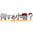 何する小巻？ (attack on titan)