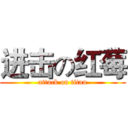 进击の红莓 (attack on titan)