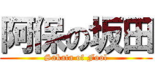 阿保の坂田 (Sakata of Fool)
