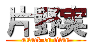 片野実 (attack on titan)