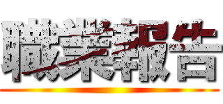 職業報告 ()