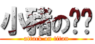 小豬の貓貓 (attack on titan)