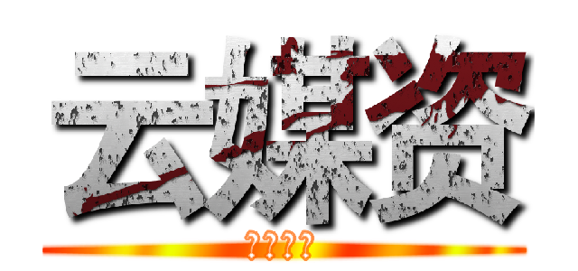 云媒资 (云智公司)