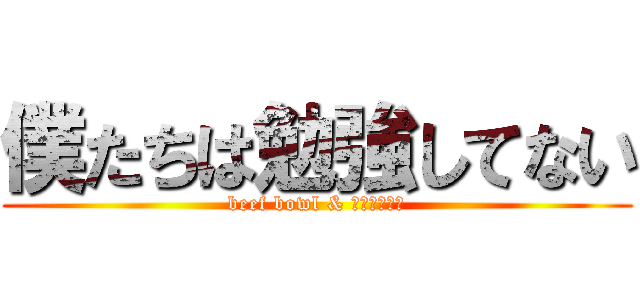 僕たちは勉強してない (beef bowl & ぽっぷこーん)