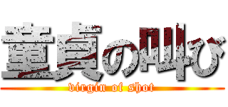 童貞の叫び (virgin of shot)