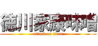 徳川家康味噌 (attack on titan)