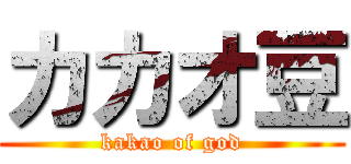 カカオ豆 (kakao of god)