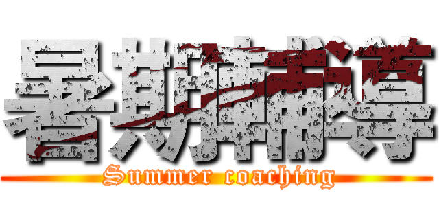 暑期輔導 ( Summer coaching)