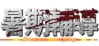 暑期輔導 ( Summer coaching)