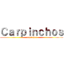 Ｃａｒｐｉｎｃｈｏｓ (carpinchos)