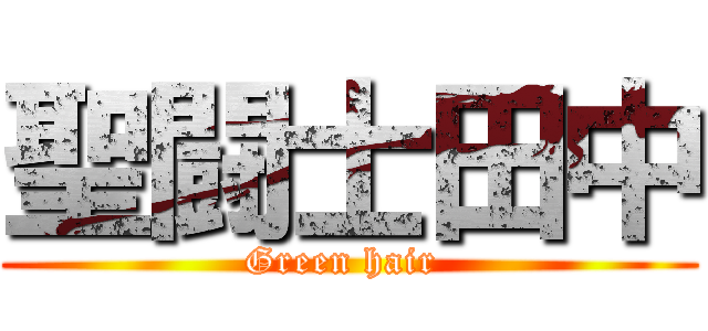 聖闘士田中 (Green hair )