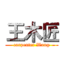 王木匠 (carpenter Wang)