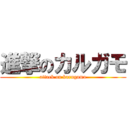 進撃のカルガモ (attack on karugamo)