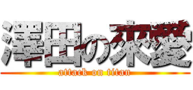 澤田の來愛 (attack on titan)