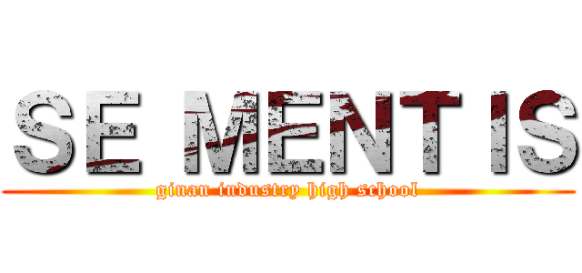 ＳＥ ＭＥＮＴＩＳ (ginan industry high school)