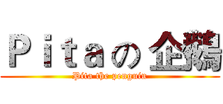 Ｐｉｔａ の 企鵝 (Pita the penguin)