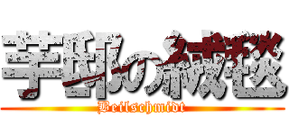 芋邸の絨毯 (Beilschmidt)