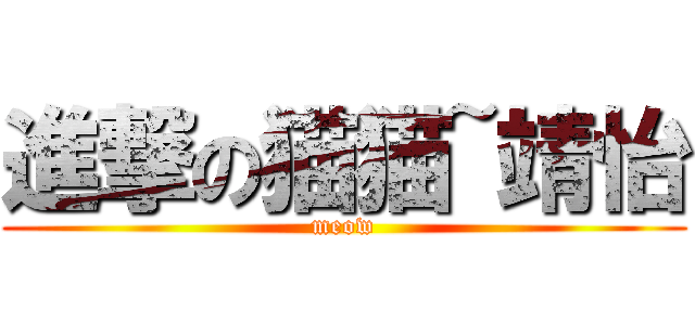 進撃の猫猫~靖怡 (meow)