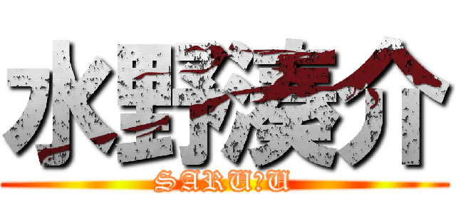 水野湊介 (SARU＆U)