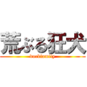 荒ぶる狂犬 (dockfamily)