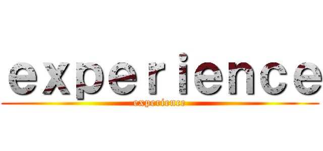 ｅｘｐｅｒｉｅｎｃｅ (experience)