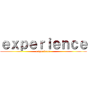 ｅｘｐｅｒｉｅｎｃｅ (experience)