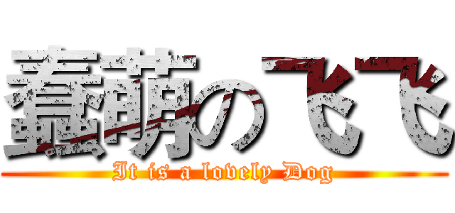 蠢萌の飞飞 (It is a lovely Dog)
