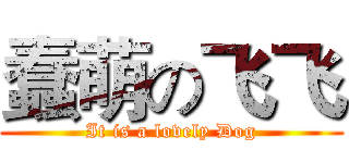 蠢萌の飞飞 (It is a lovely Dog)