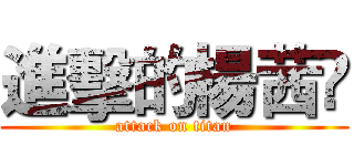進擊的楊茜伃 (attack on titan)