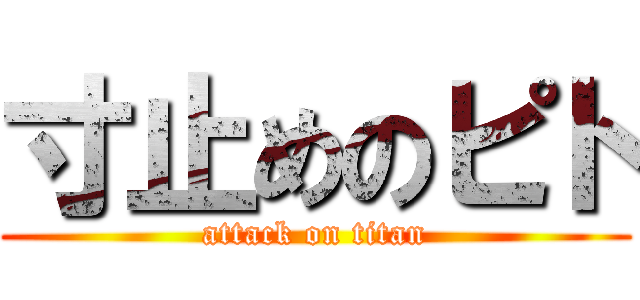 寸止めのピト (attack on titan)