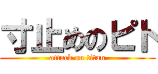 寸止めのピト (attack on titan)