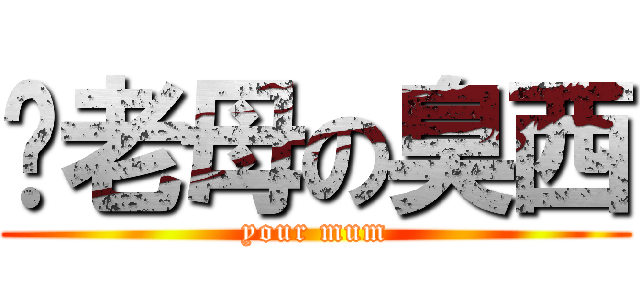 你老母の臭西 (your mum)