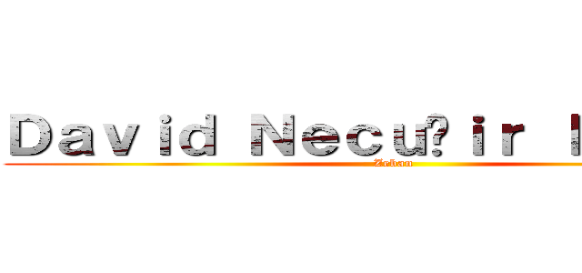 Ｄａｖｉｄ Ｎｅｃｕñｉｒ Ｉｂａｒｒａ (Zeban)
