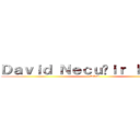 Ｄａｖｉｄ Ｎｅｃｕñｉｒ Ｉｂａｒｒａ (Zeban)