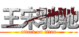 王宋驰驰 (attack on titan)