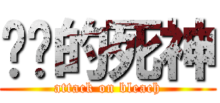 进击的死神 (attack on bleach)