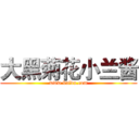 大黑菊花小兰酱 (www.baidu.com)