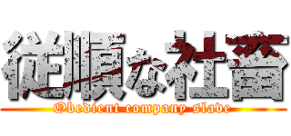 従順な社畜 (Obedient company slave)