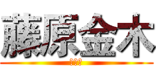 藤原金木 (的頻道)