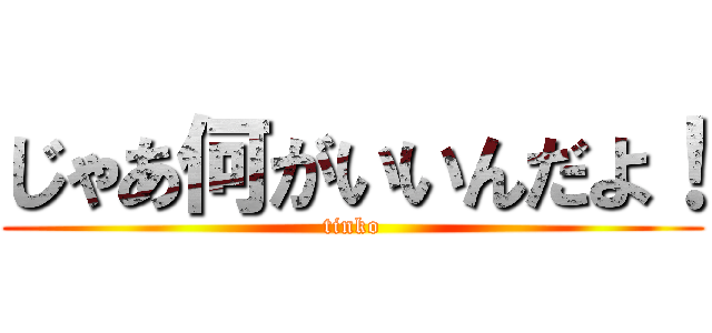 じゃあ何がいいんだよ！ (tinko)