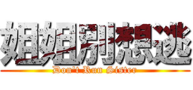 姐姐別想逃 (Don\'t Run Sister)