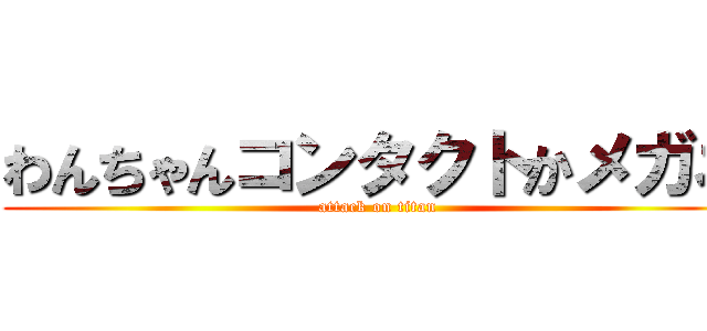 わんちゃんコンタクトかメガネ (attack on titan)
