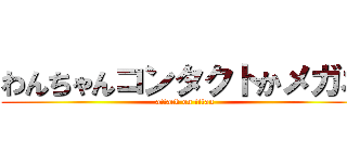 わんちゃんコンタクトかメガネ (attack on titan)