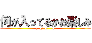 何が入ってるかお楽しみ (attack on titan)