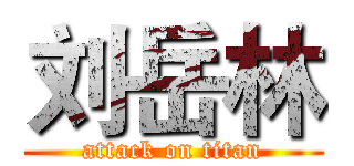 刘岳林 (attack on titan)