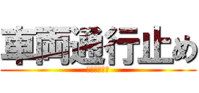 車両通行止め (一般車両除く)